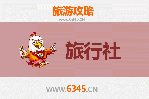 濮阳清丰旅游攻略：本地旅行社推荐与深度游玩指南