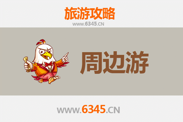 濮阳清丰周边游攻略：探索豫北历史与自然之美