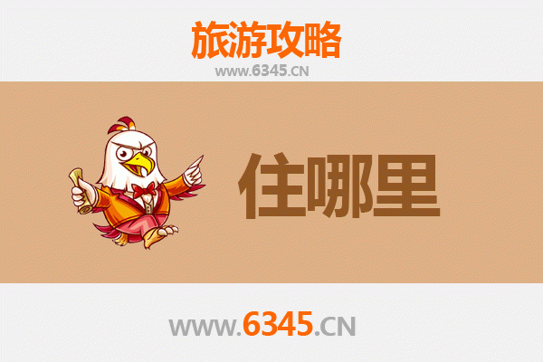 濮阳清丰民宿攻略：古韵与现代交融的沉浸式旅行体验
